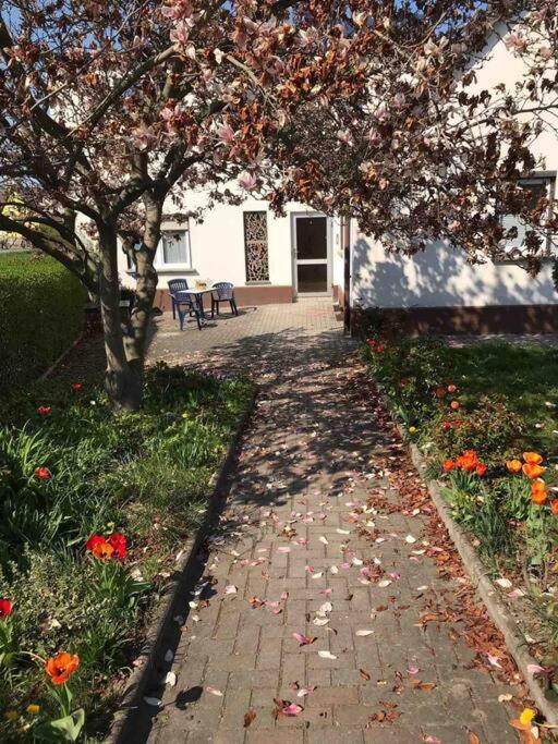 Auf Dem Land Und Doch Ganz Nah Appartement Krolpa Buitenkant foto